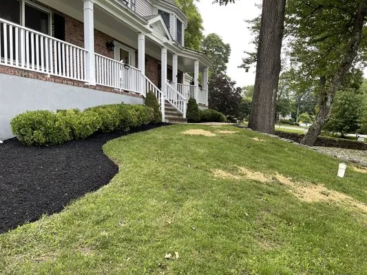 Nixon Landscaping Logo