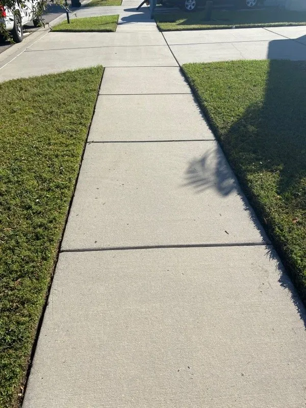 Reliable lawn care service in Riverview, FL by Nixon Love For Lawn