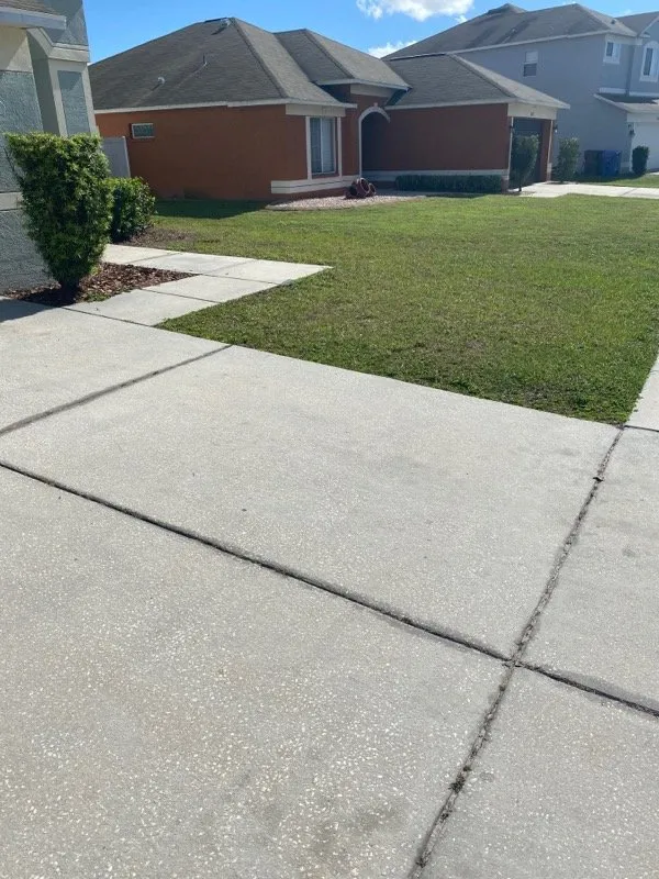 Trusted yard cleanup service for residential properties across Riverview, FL - Nixon Love For Lawn