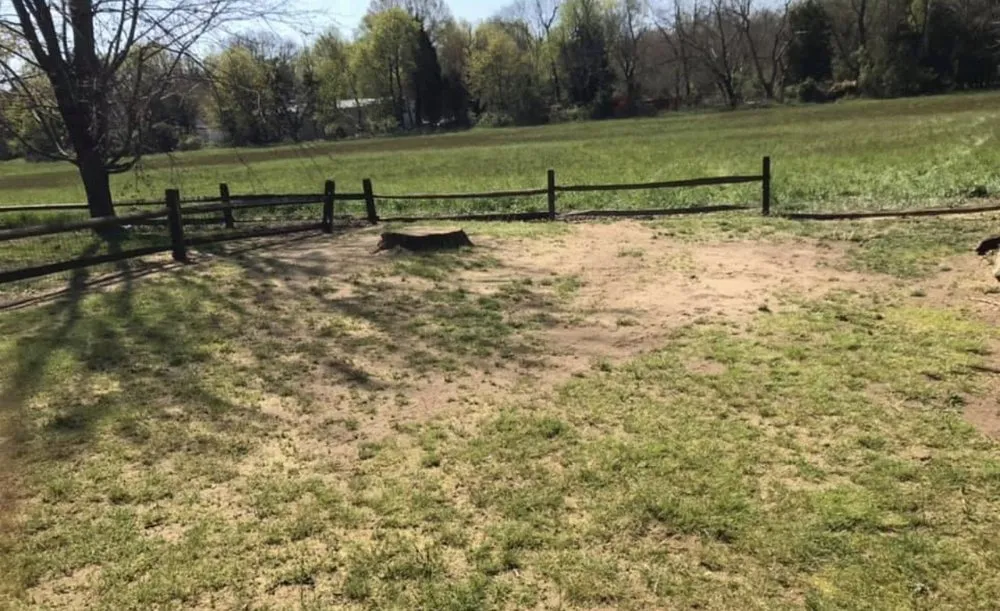 Top-rated yard maintenance with custom design across Newfield, NJ - Nixsa Construction Landscaping