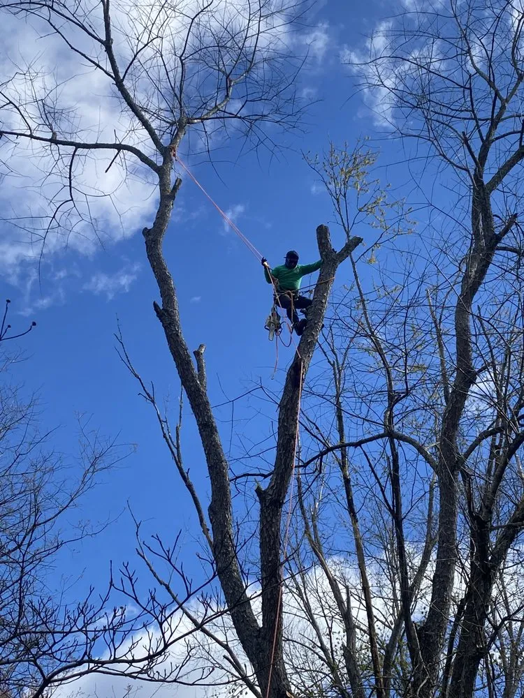 Local landscape design with custom design across Wilkesboro, NC - Niz Tree Service & Lawn Care