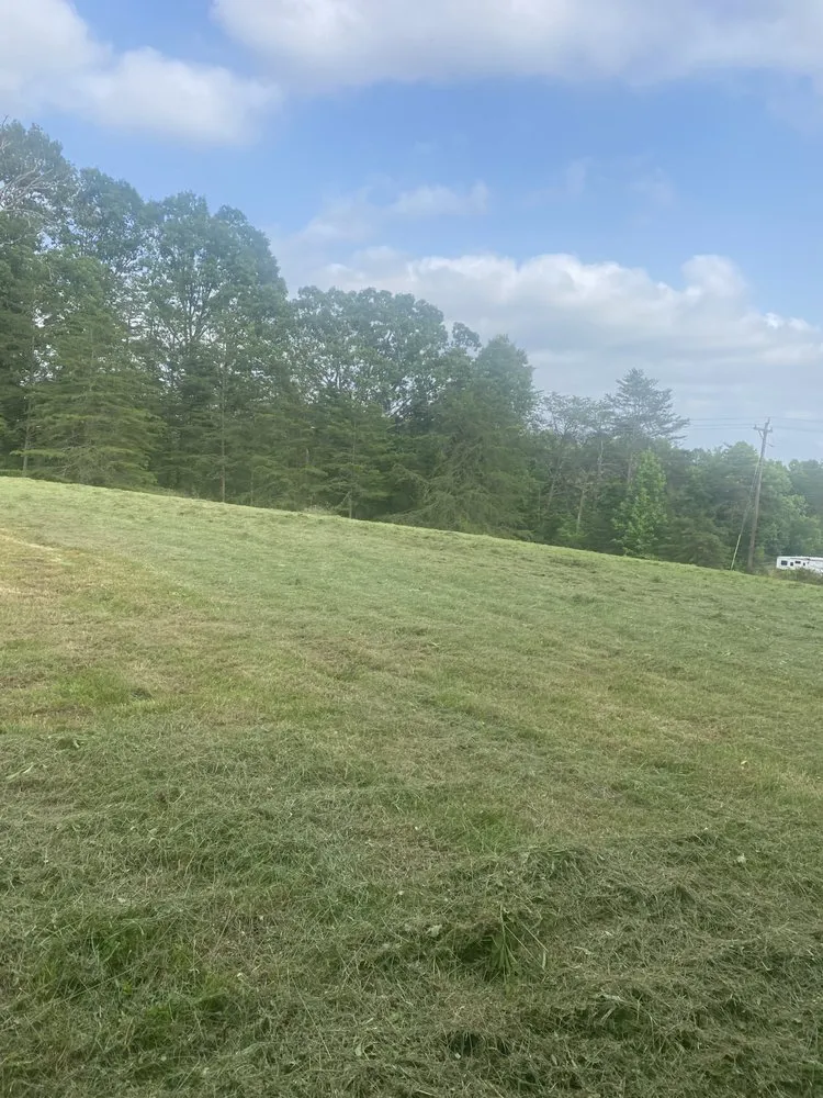 Local yard cleanup service in Wilkesboro, NC - Niz Tree Service & Lawn Care