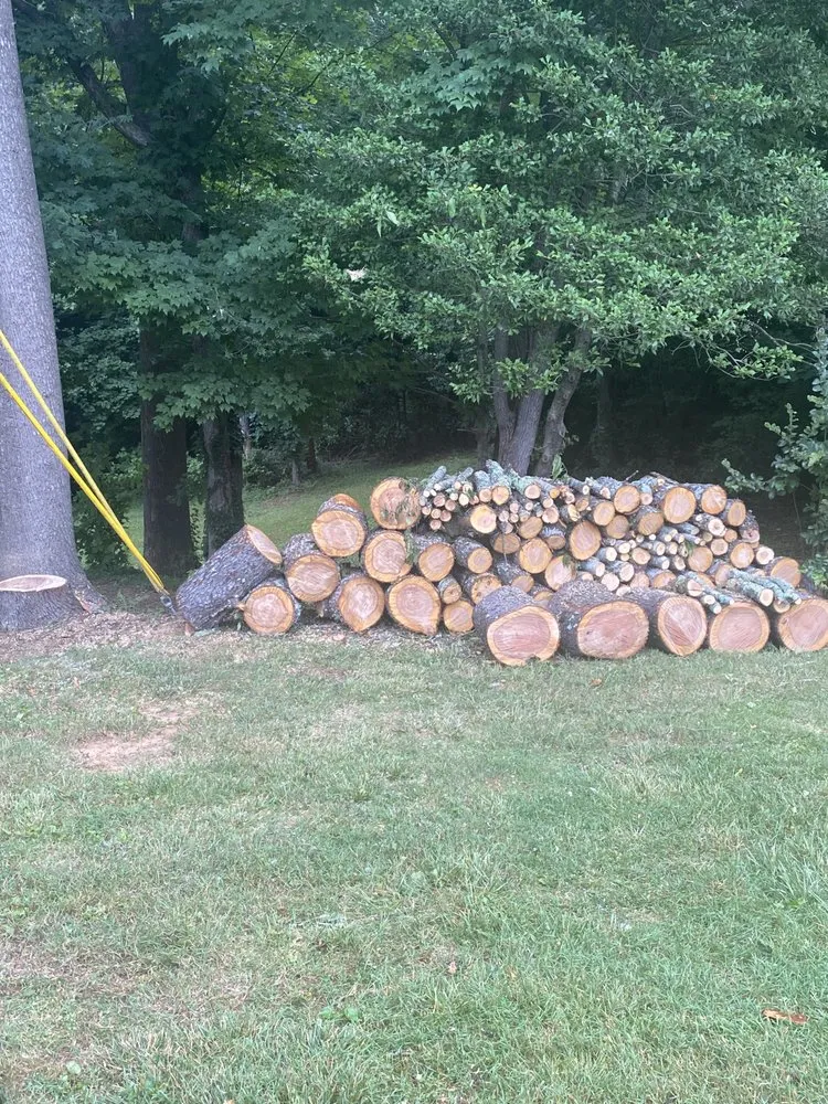 Expert lawn care service experts serving Wilkesboro, NC - Niz Tree Service & Lawn Care