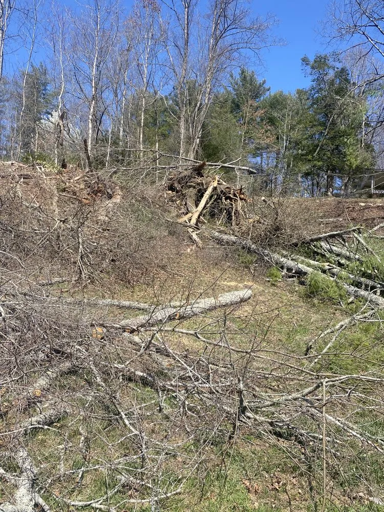 Local landscape design near you across Wilkesboro, NC - Niz Tree Service & Lawn Care