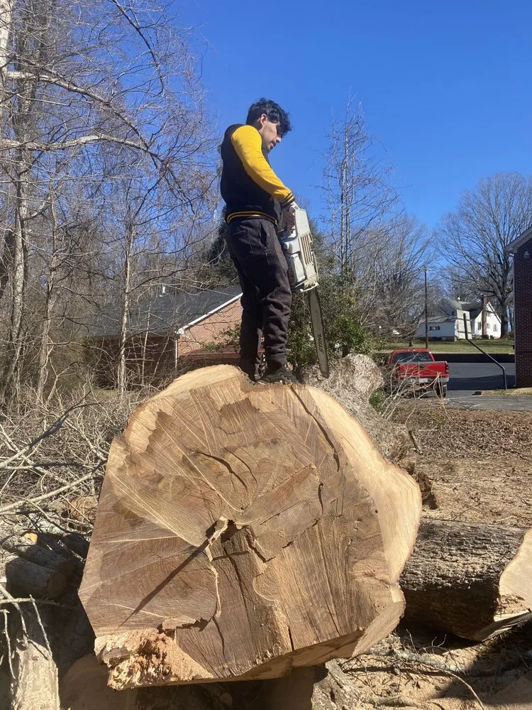 Affordable lawn care service experts serving Wilkesboro, NC - Niz Tree Service & Lawn Care