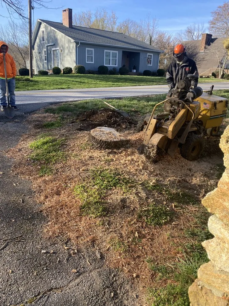 Reliable lawn mowing service experts serving Wilkesboro, NC - Niz Tree Service & Lawn Care