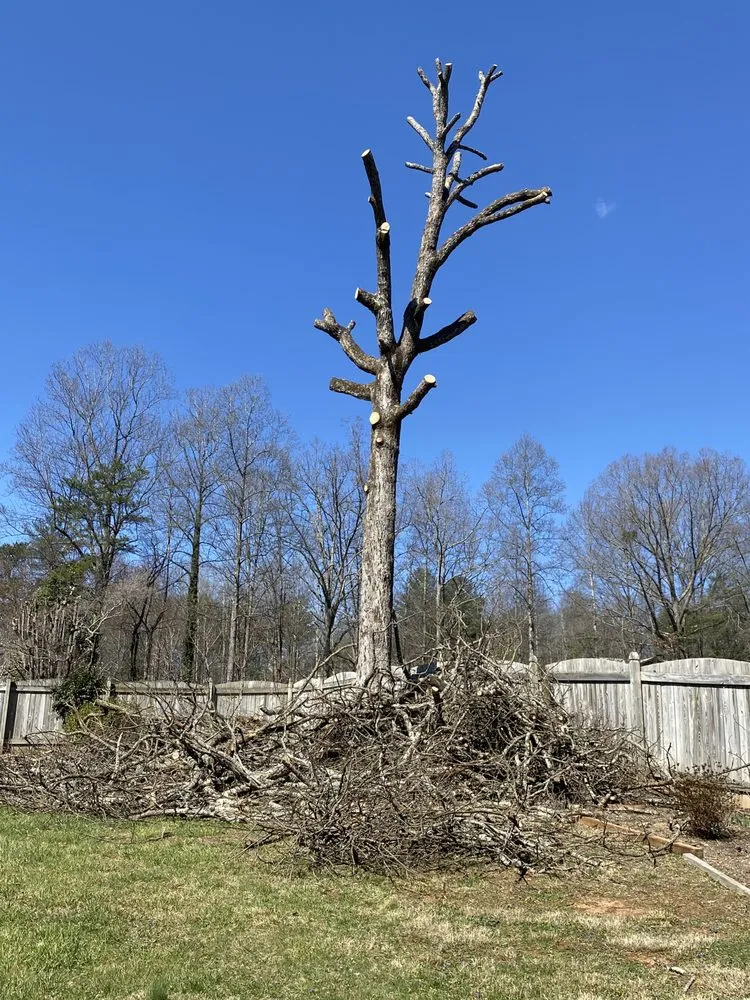 Expert lawn care service in Wilkesboro, NC - Niz Tree Service & Lawn Care