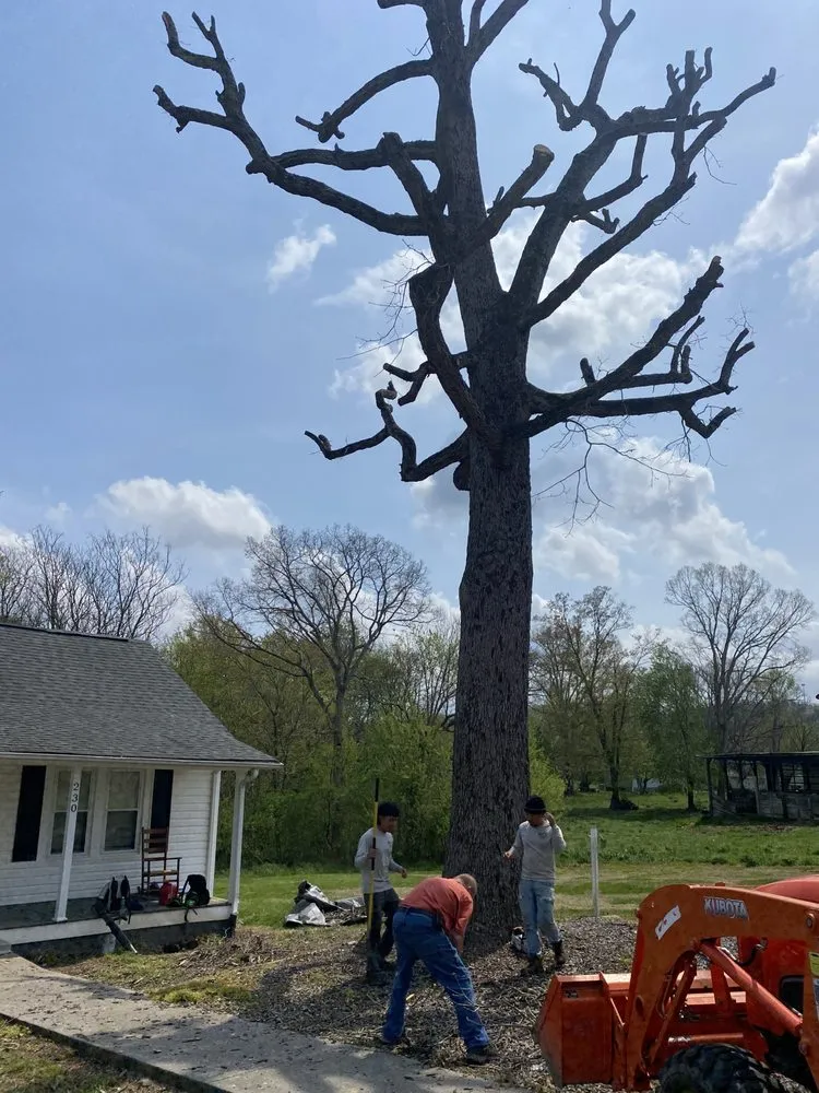 Reliable landscape installation in Wilkesboro, NC by Niz Tree Service & Lawn Care