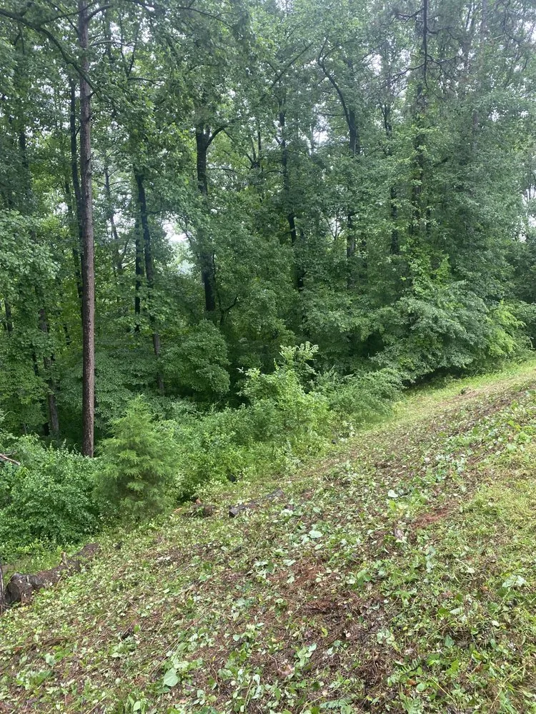 Trusted landscape installation near you across Wilkesboro, NC - Niz Tree Service & Lawn Care