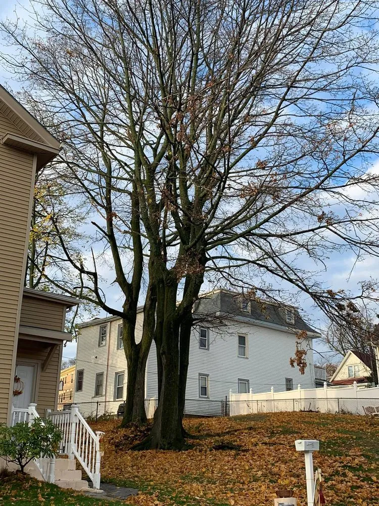 Custom outdoor landscaping with custom design across Lawrence, MA - Niz Tree Services