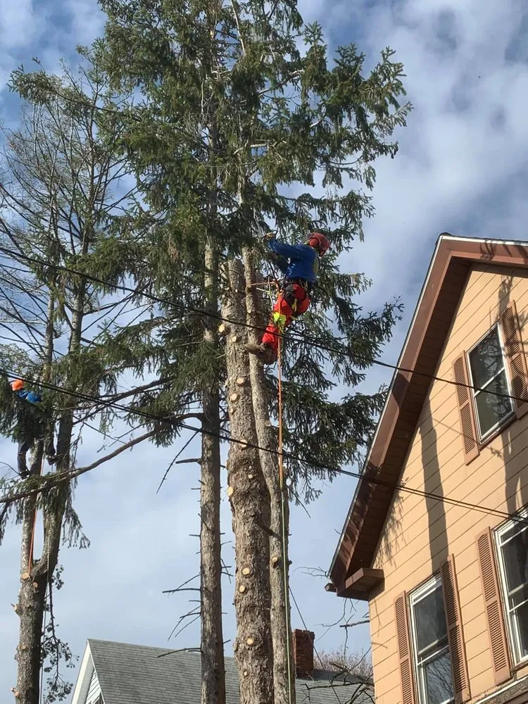 Reliable outdoor landscaping for homes in Lawrence, MA by Niz Tree Services