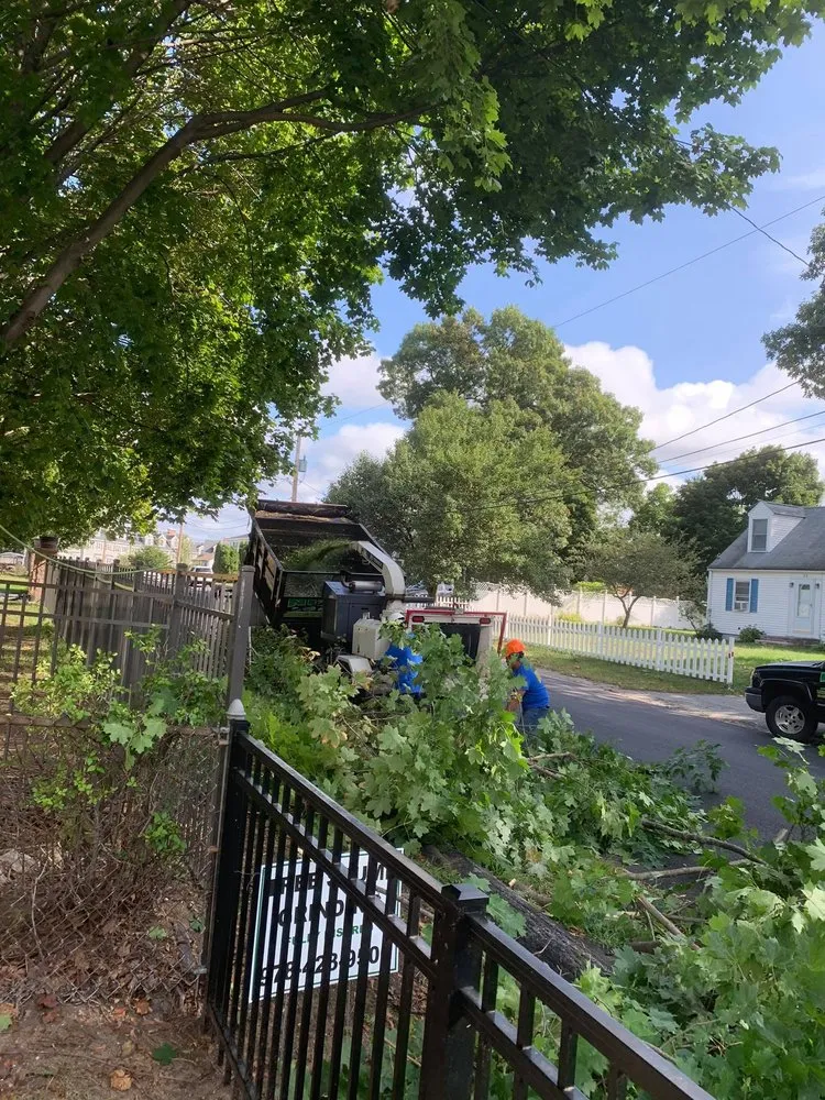 Professional landscape installation in Lawrence, MA by Niz Tree Services