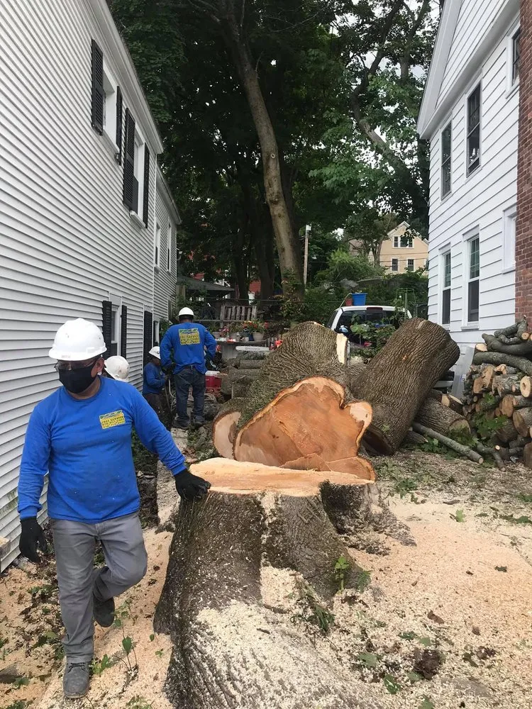 Affordable lawn mowing service with custom design across Lawrence, MA - Niz Tree Services