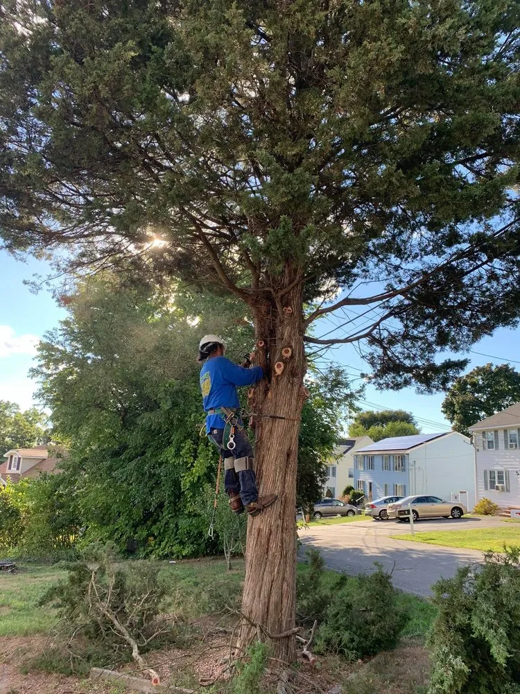 Trusted landscape design for residential properties across Lawrence, MA - Niz Tree Services