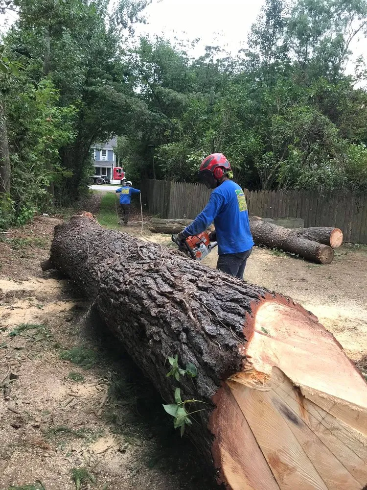 Local yard maintenance for outdoor upgrades in Lawrence, MA by Niz Tree Services