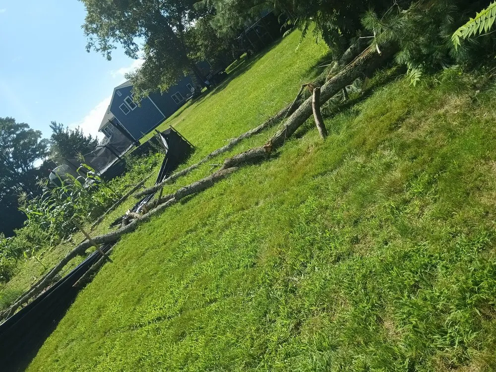 Affordable yard cleanup service for beautiful yards across Everett, MA - NJ Demolition & Chirok