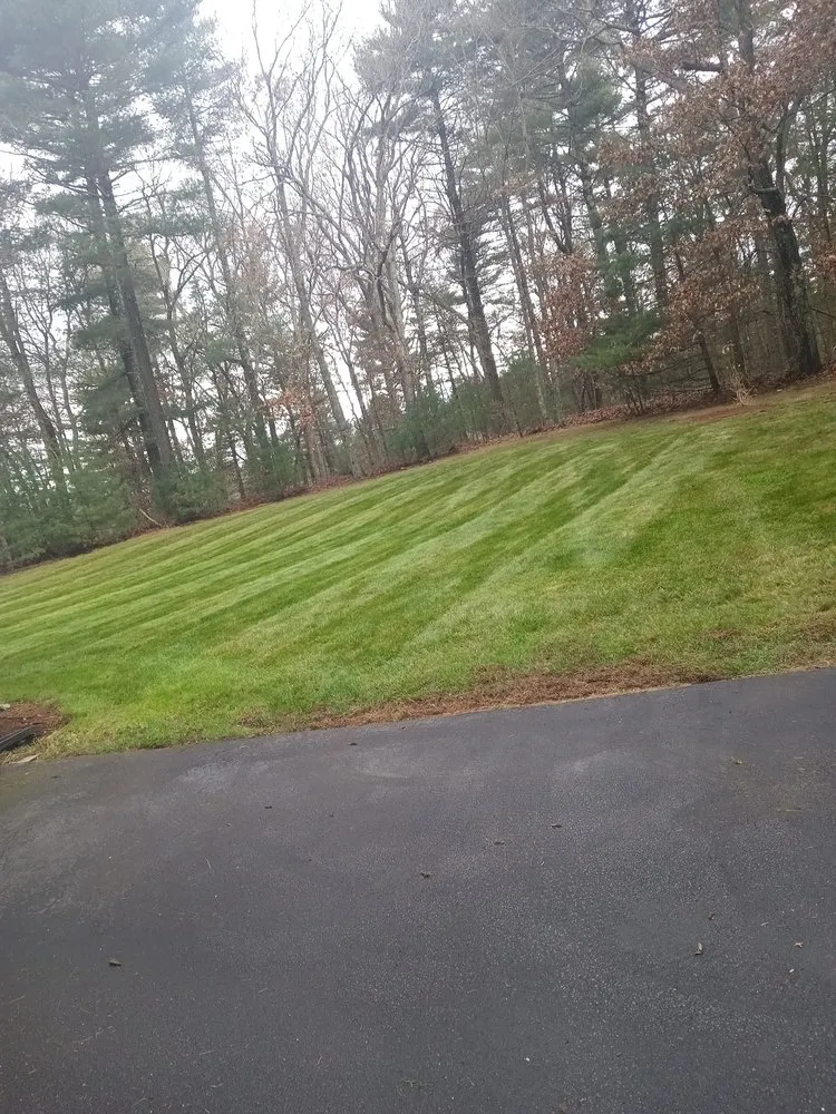 Professional yard maintenance near you in Everett, MA by NJ Demolition & Chirok