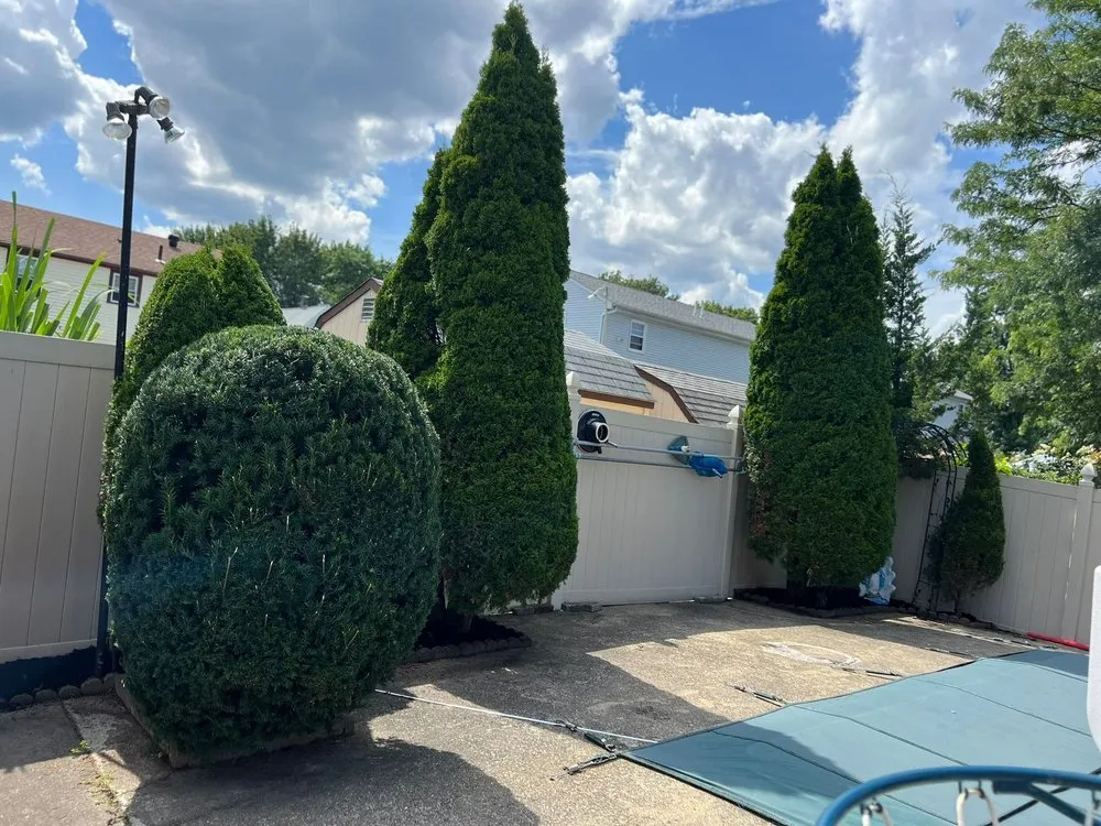 Expert yard maintenance for year-round maintenance in Everett, MA by NJ Demolition & Chirok