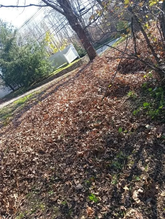 Trusted outdoor landscaping in Everett, MA by NJ Demolition & Chirok