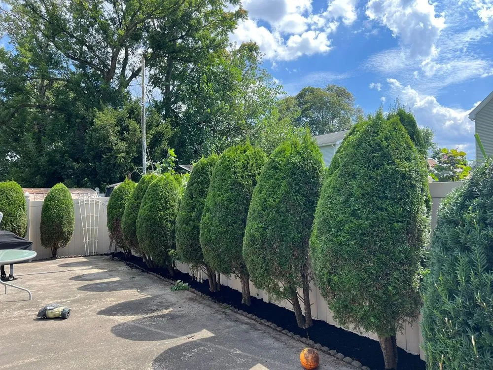 Custom landscape installation with custom design across Everett, MA - NJ Demolition & Chirok