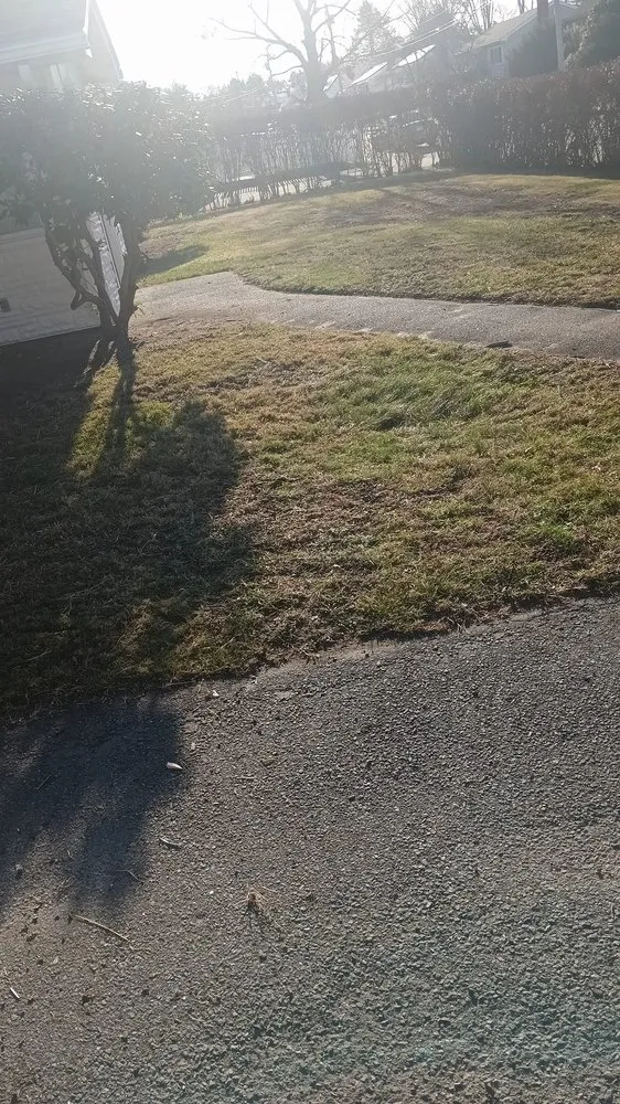 Reliable outdoor landscaping for residential properties across Everett, MA - NJ Demolition & Chirok