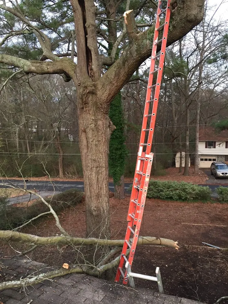 Top-rated landscape design in Riverdale, GA - N&J Home improvement repair contractor