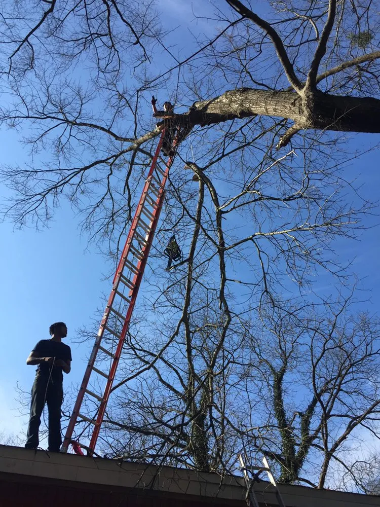 Professional landscape design for homes in Riverdale, GA by N&J Home improvement repair contractor