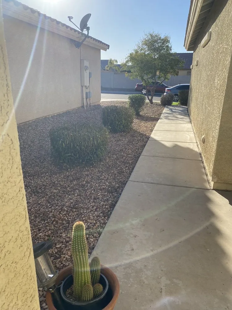 Trusted yard cleanup service in Phoenix, AZ by NJ Landscape