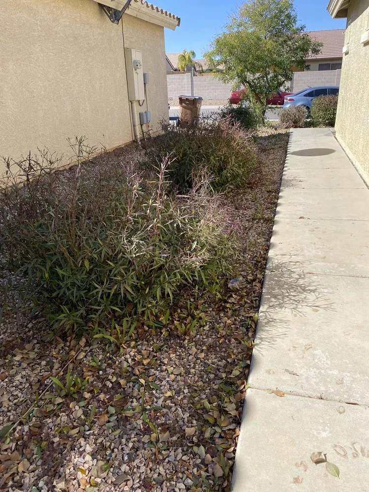 Professional yard maintenance in Phoenix, AZ by NJ Landscape