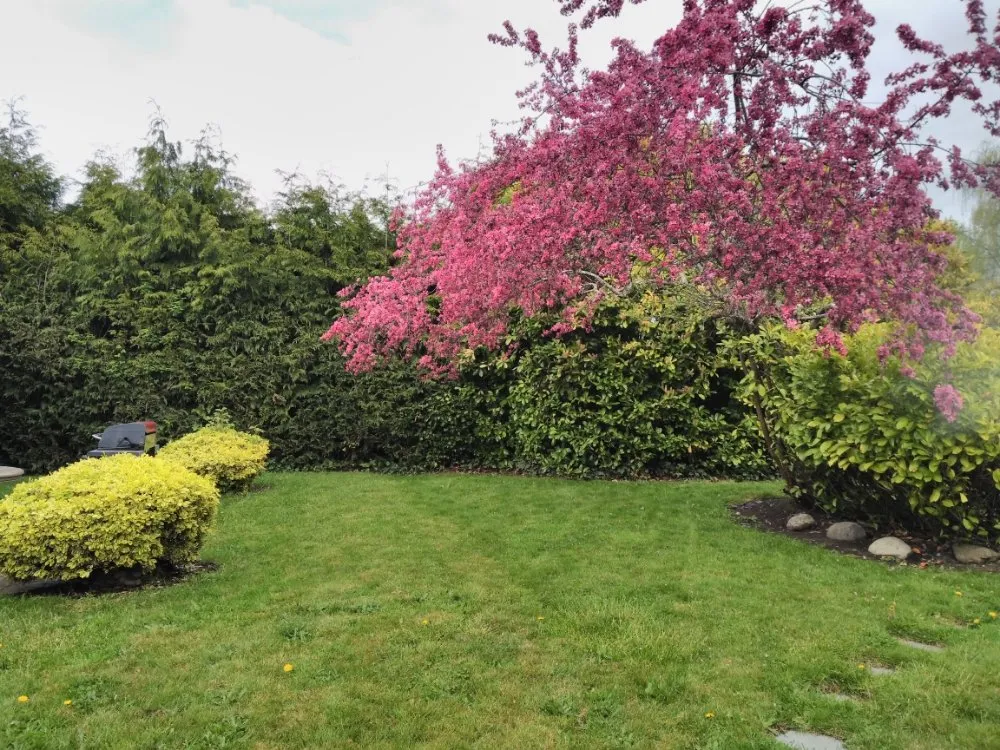 Affordable residential landscaping in Everett, WA by NJ Landscaping & Construction