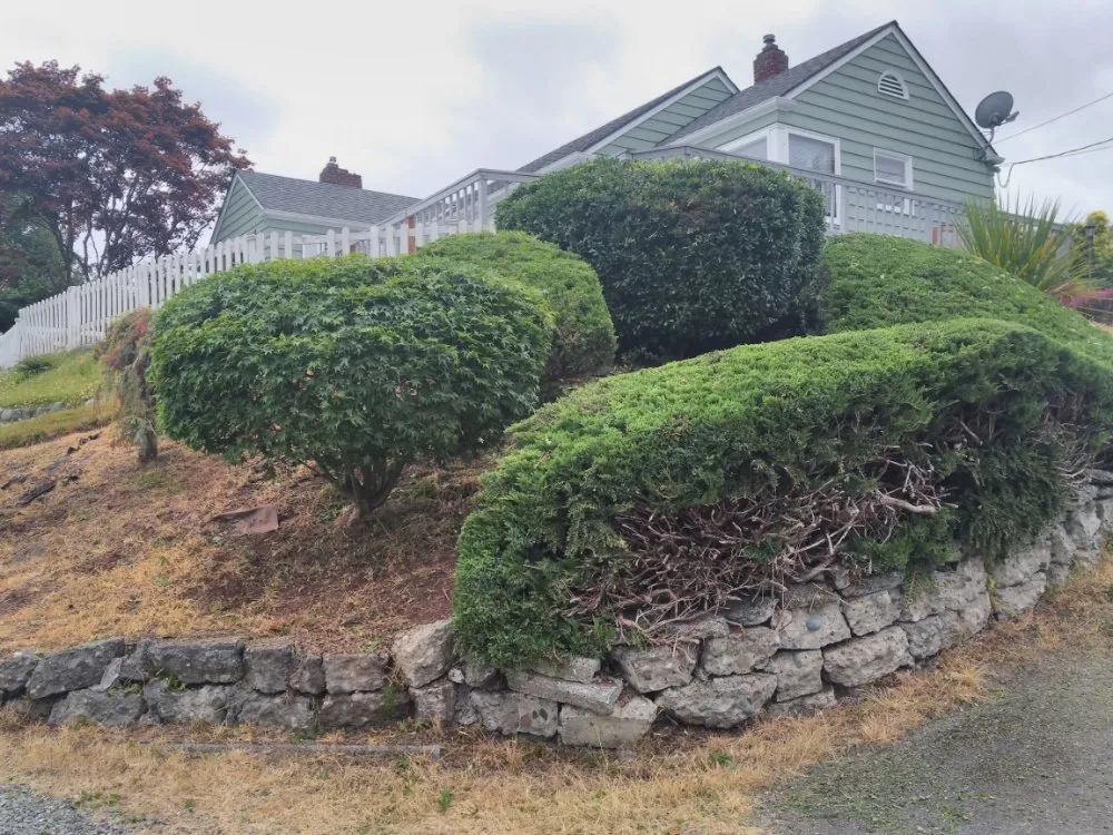 Top-rated outdoor landscaping in Everett, WA - NJ Landscaping & Construction