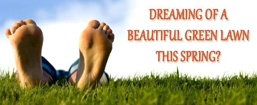 Reliable lawn mowing service for residential properties across Scotch Plains, NJ - NJ Mulching Services , Sales & Installations