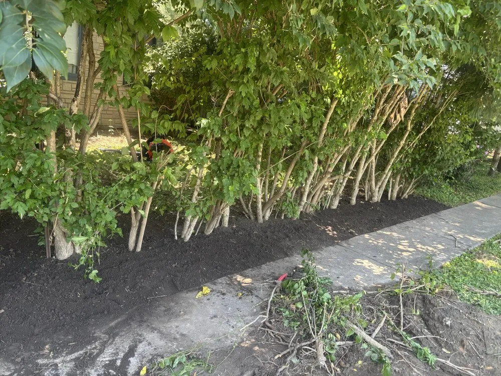 Affordable yard maintenance experts serving Maryland Heights, MO - Njai Home Solutions