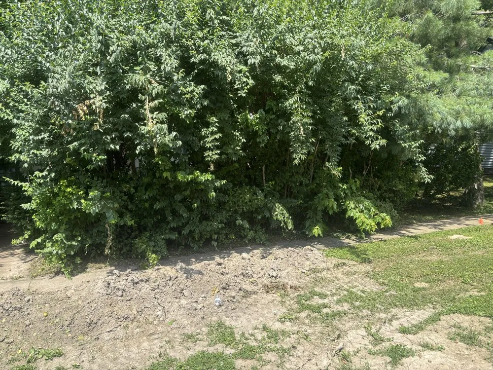 Custom outdoor landscaping in Maryland Heights, MO by Njai Home Solutions