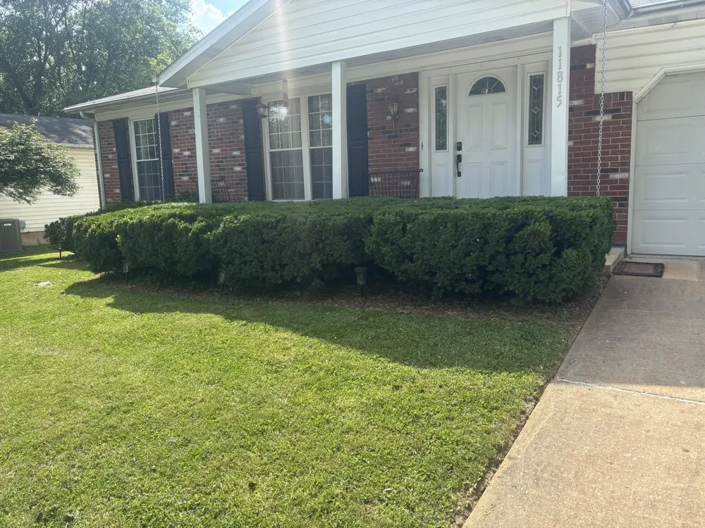 Professional yard cleanup service experts serving Maryland Heights, MO - Njai Home Solutions