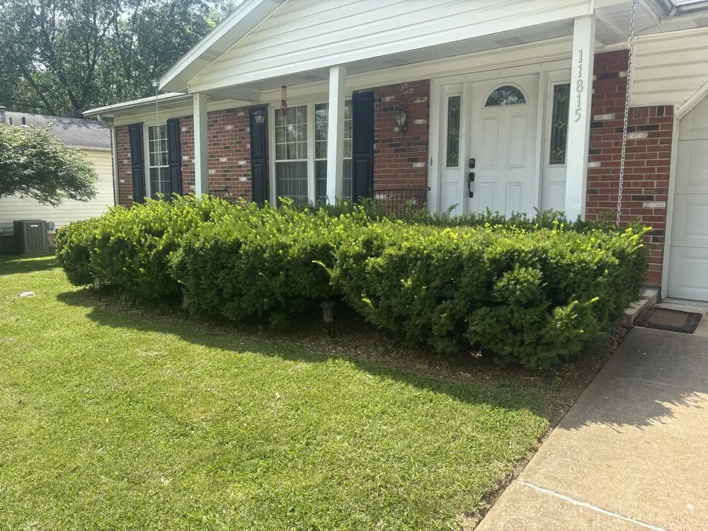 Affordable lawn care service in Maryland Heights, MO by Njai Home Solutions