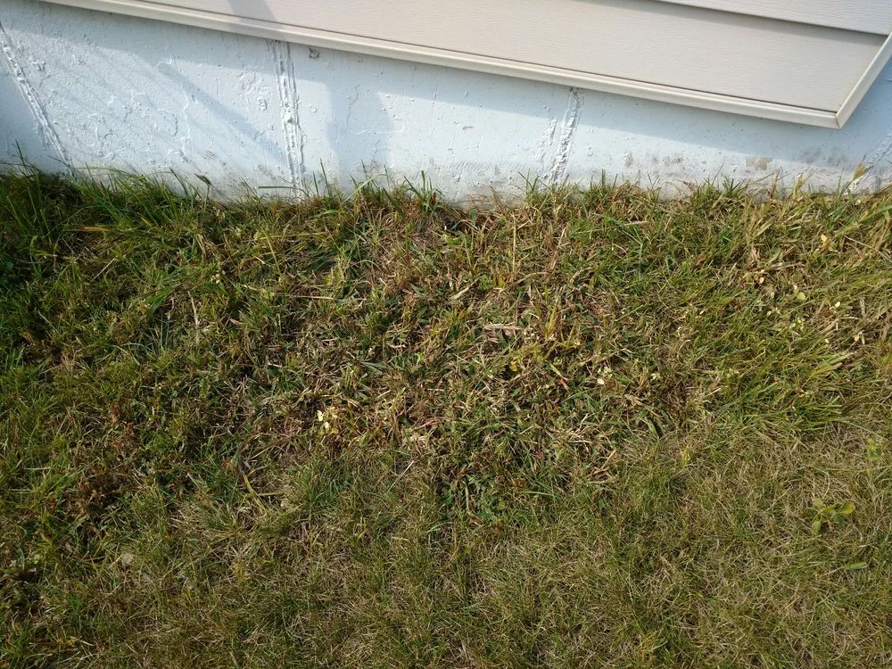 Custom garden landscaping experts serving Harvard, IL - NJE Tree Service & Landscaping