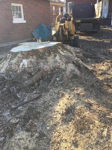 Custom residential landscaping in Harvard, IL by NJE Tree Service & Landscaping