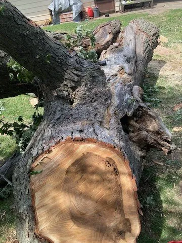 Trusted lawn mowing service in Harvard, IL - NJE Tree Service & Landscaping