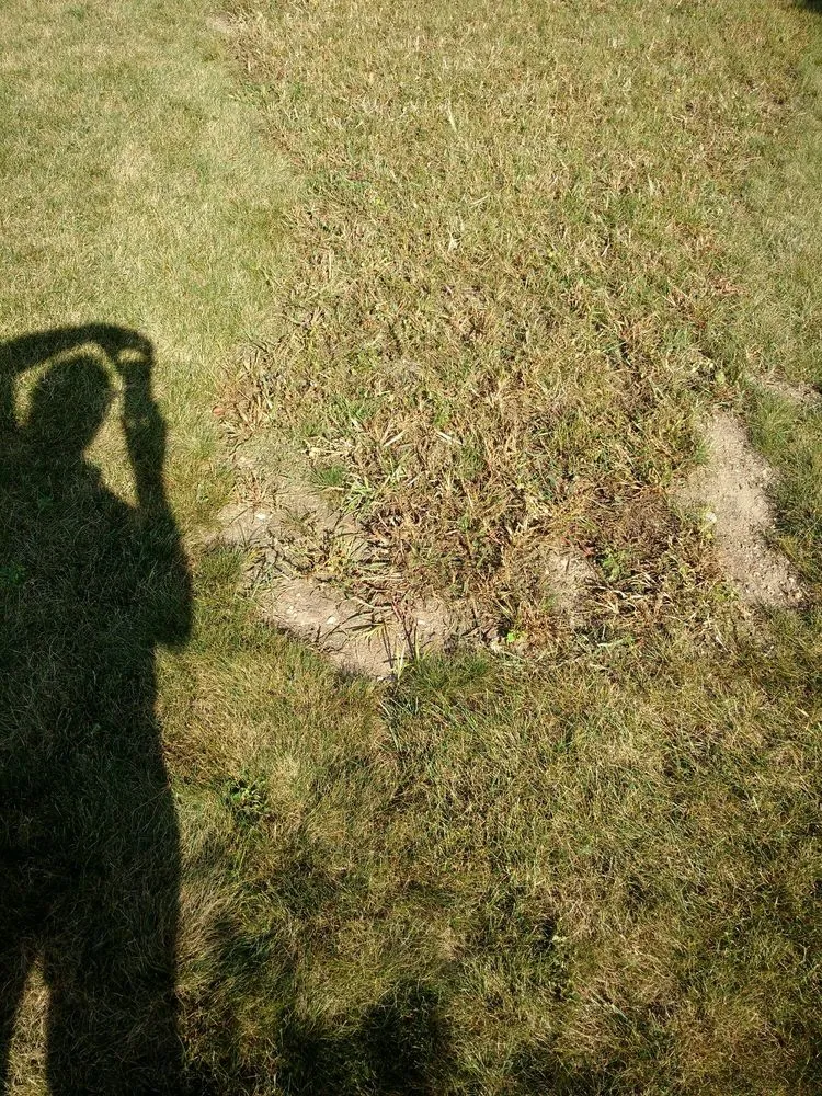 Top-rated landscape installation in Harvard, IL - NJE Tree Service & Landscaping