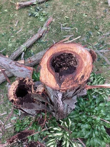 Top-rated garden landscaping experts serving Harvard, IL - NJE Tree Service & Landscaping