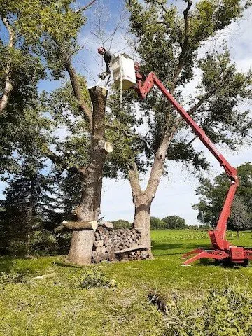Expert yard maintenance in Harvard, IL by NJE Tree Service & Landscaping