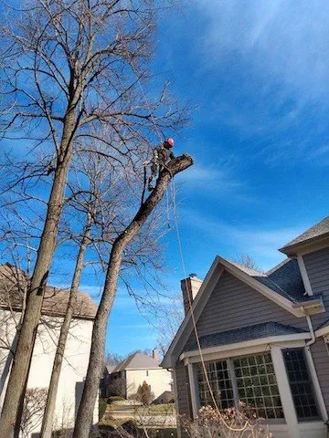 Top-rated lawn care service in Harvard, IL by NJE Tree Service & Landscaping