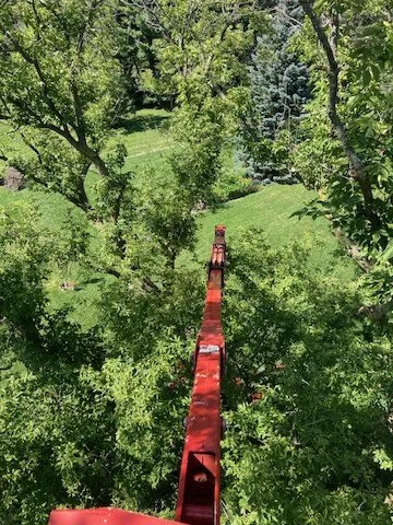 Expert landscape design experts serving Harvard, IL - NJE Tree Service & Landscaping