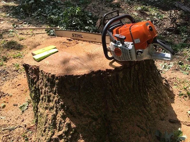 Expert outdoor landscaping for residential properties across Harvard, IL - NJE Tree Service & Landscaping