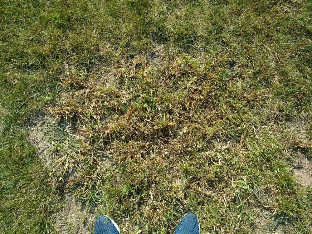 Trusted landscape installation in Harvard, IL - NJE Tree Service & Landscaping