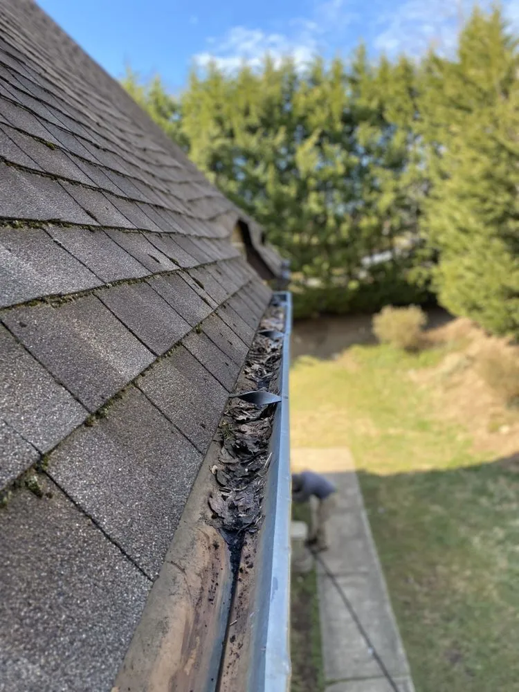 Trusted yard cleanup service in Stamford, CT by NJoel Landscaping