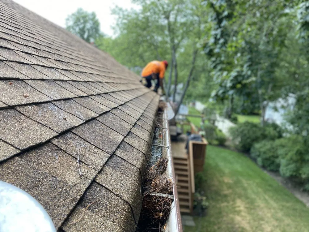 Reliable garden landscaping for year-round maintenance in Stamford, CT by NJoel Landscaping