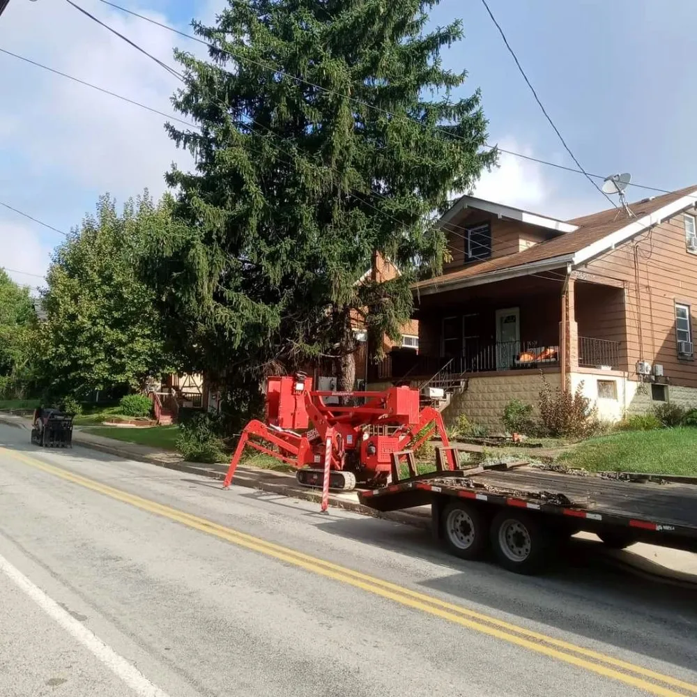 Affordable landscape design experts serving Clearwater, FL - N.J.V Tree Service