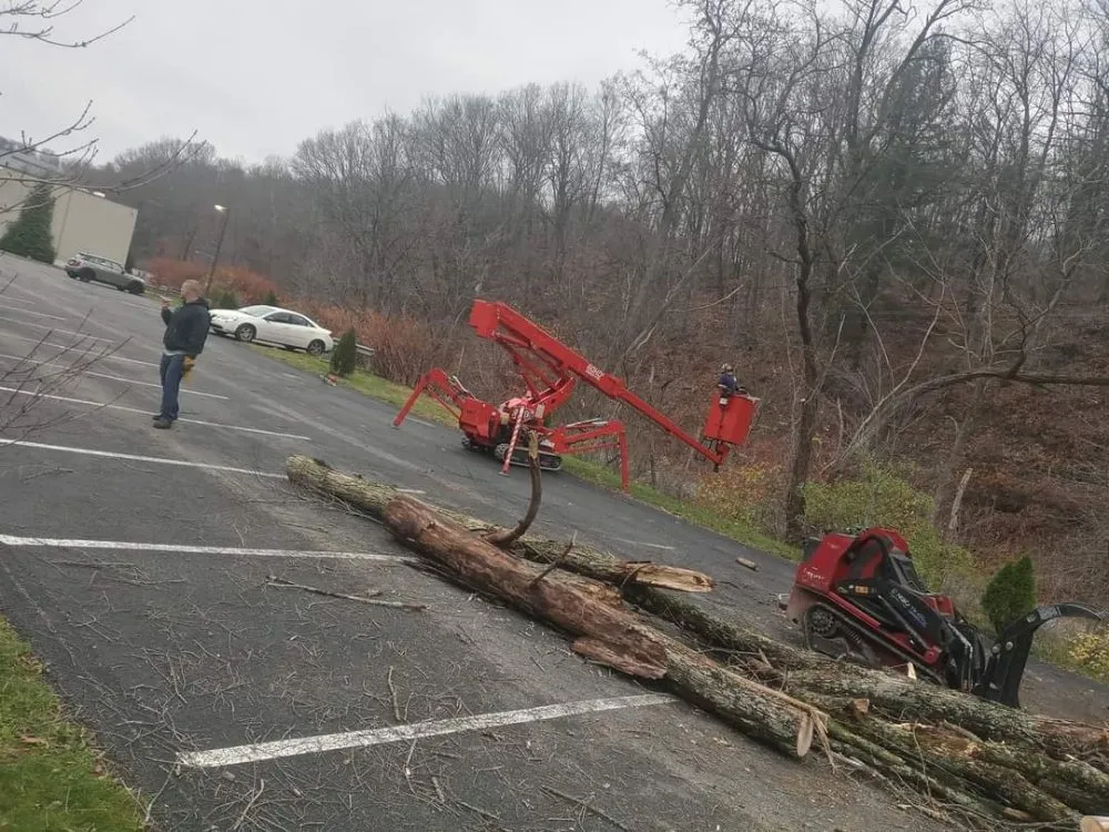 Custom residential landscaping in Clearwater, FL by N.J.V Tree Service